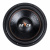 DL Audio Raven 12